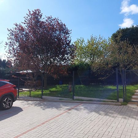 Penzion U Novotnych Jiřetín pod Jedlovou Esterno foto